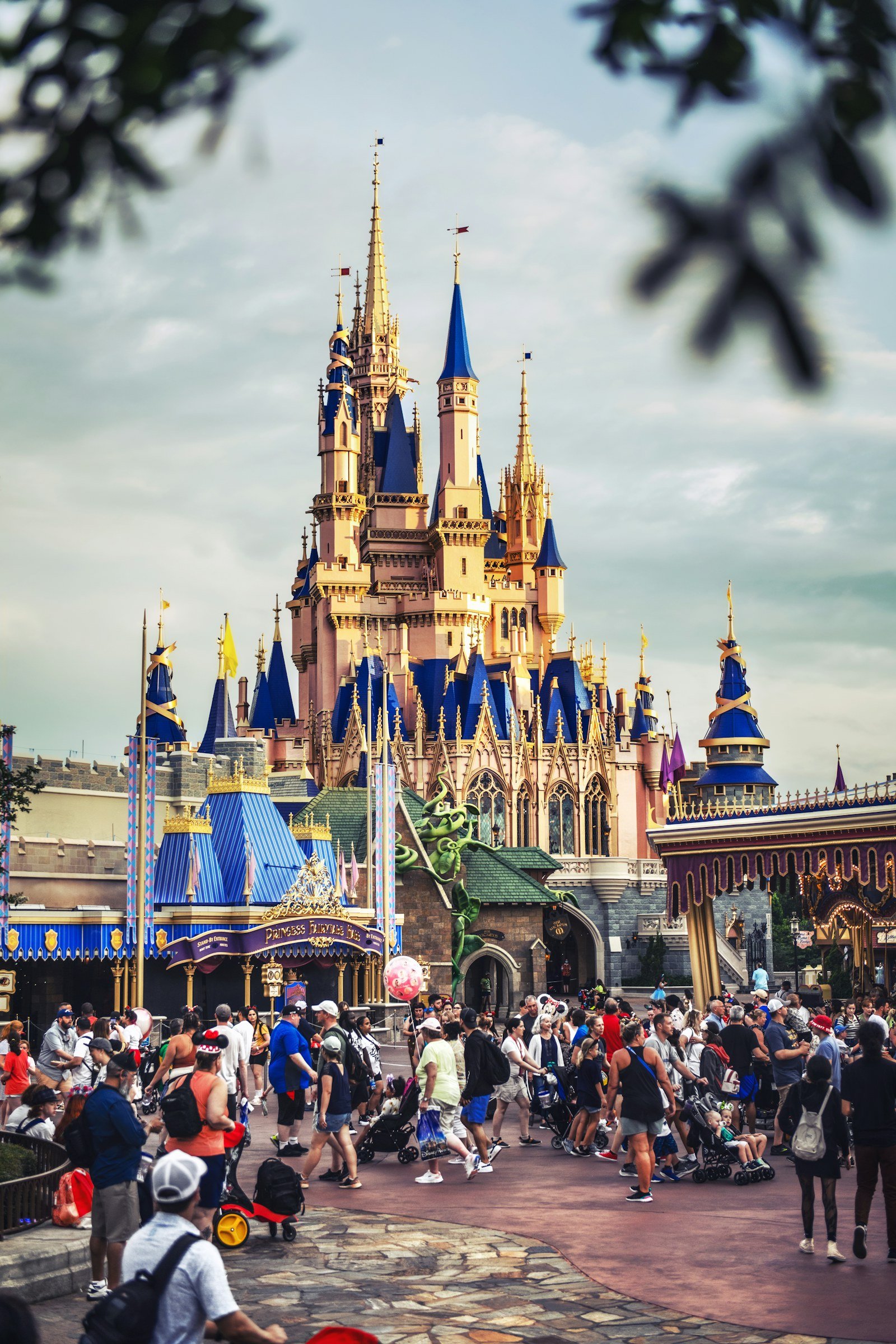 Families exploring Magic Kingdom