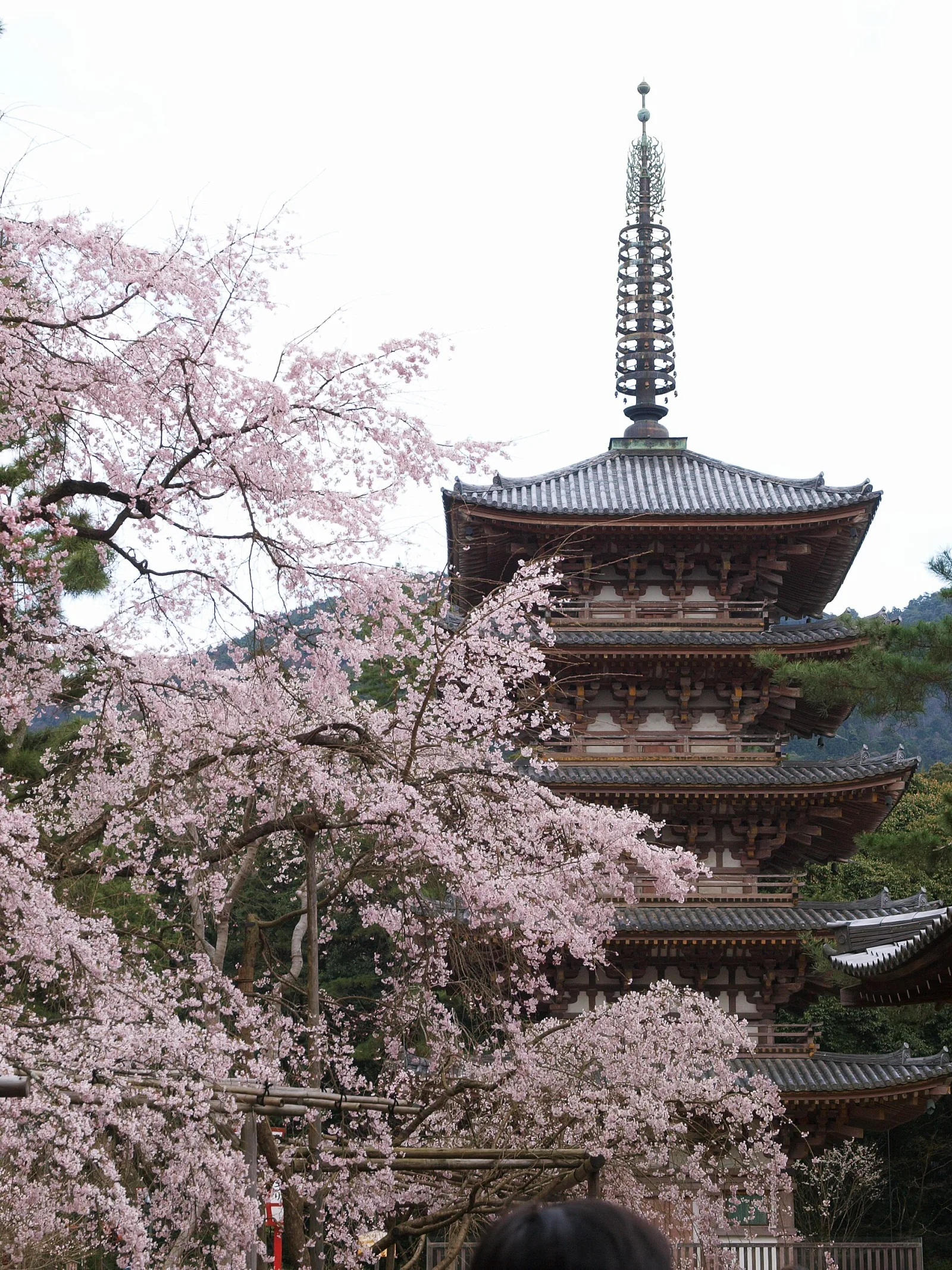 Descubriendo Japón — Japón