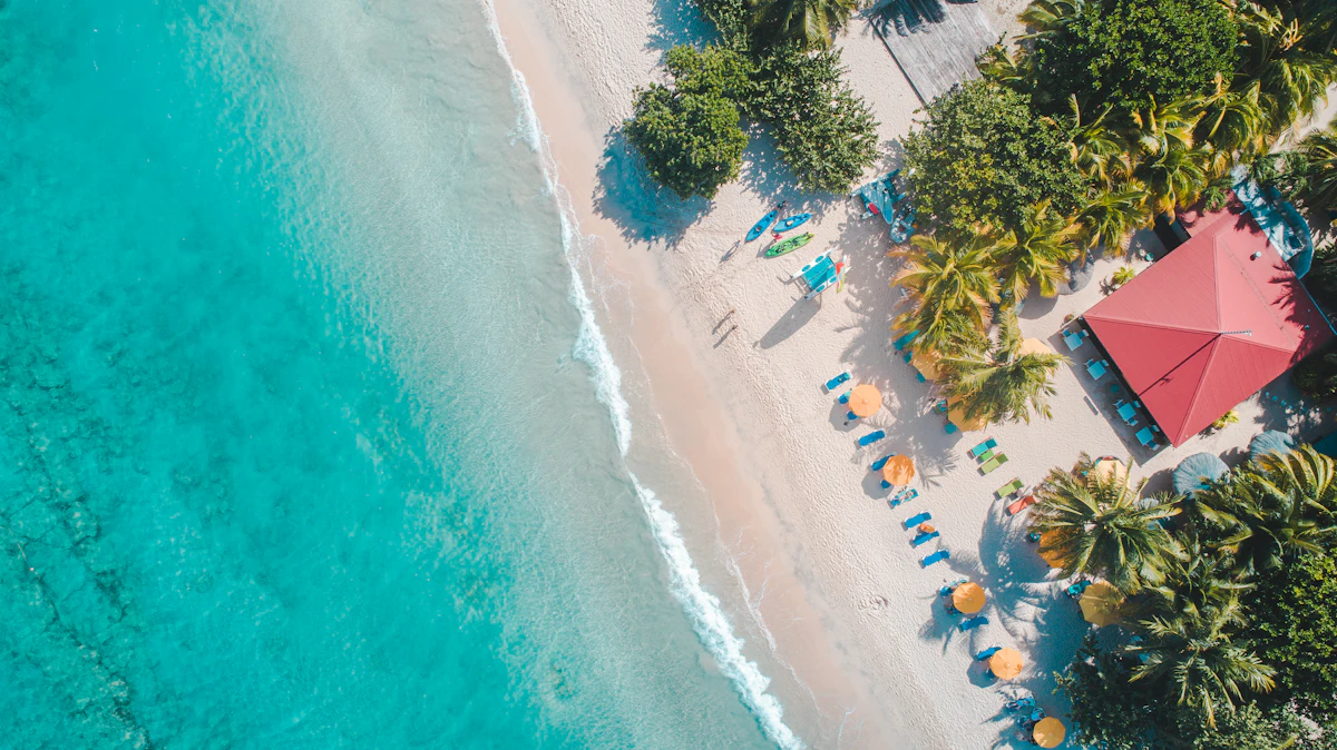 Aerial view of a turquoise Caribbean shoreline and palm trees